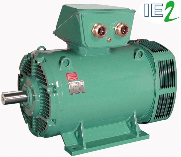 Электродвигатель асинхронный 2P LSES 132M 9kW IFT/IE2 B3 380D/400D/415D/690Y-460D 50-60Hz-1probe PTO (winding)