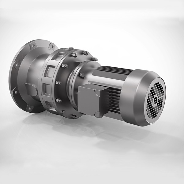 Мотор-редуктор циклоидальный  BLD0-29-Y0.55 BLY10-29-Y0.55KW